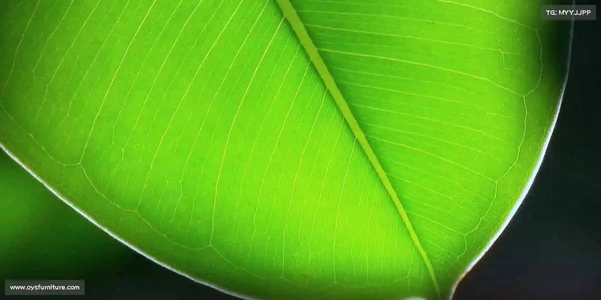 j9九游真人游戏第一品牌——🛹滑板少年,街头极限酷玩不停!